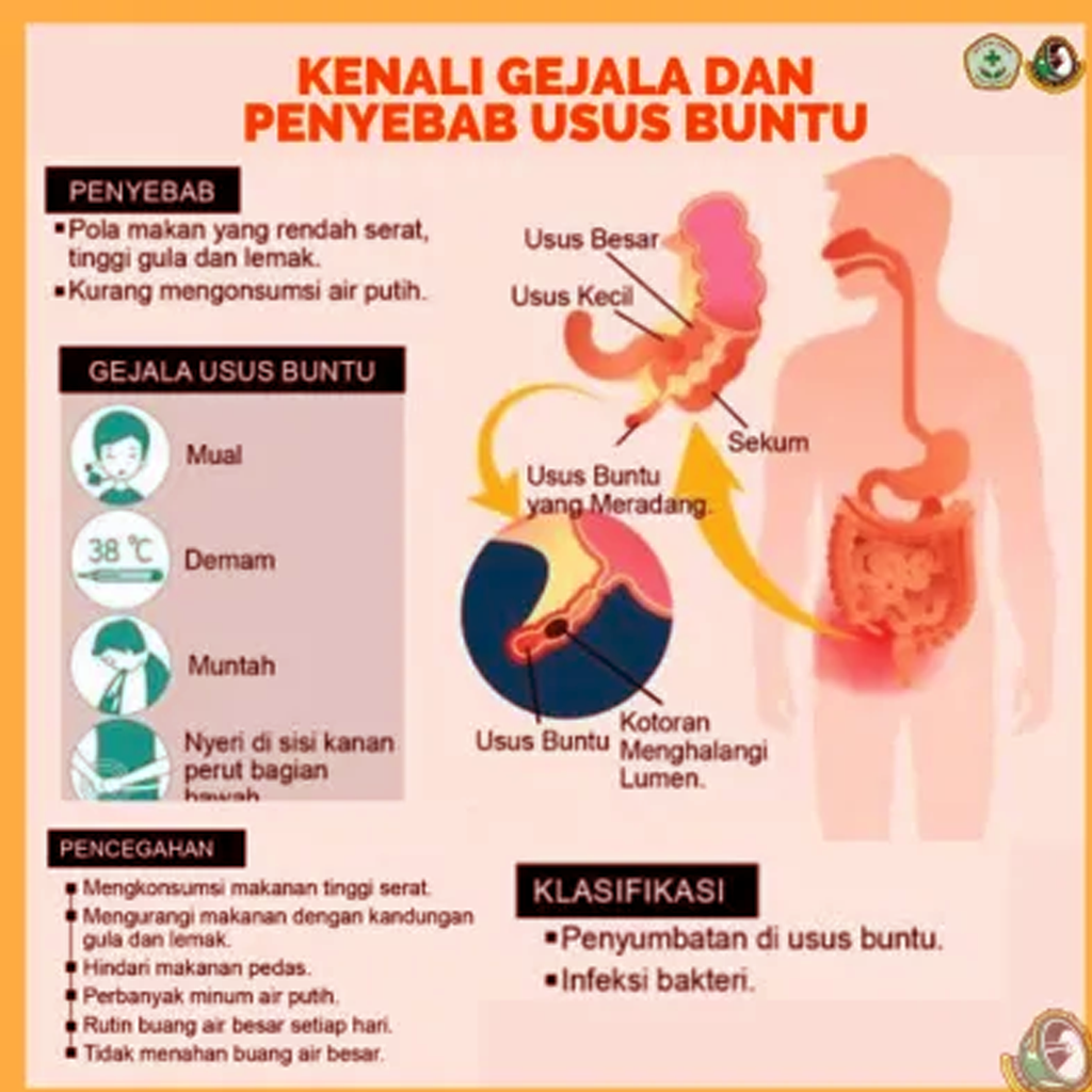 Daftar Ciri Ciri Usus Buntu Yang Wajib Di Ketahuin